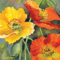 Poppies greeting card